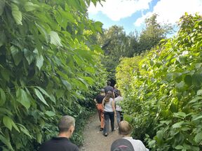 Ihmisiä puutarhassa